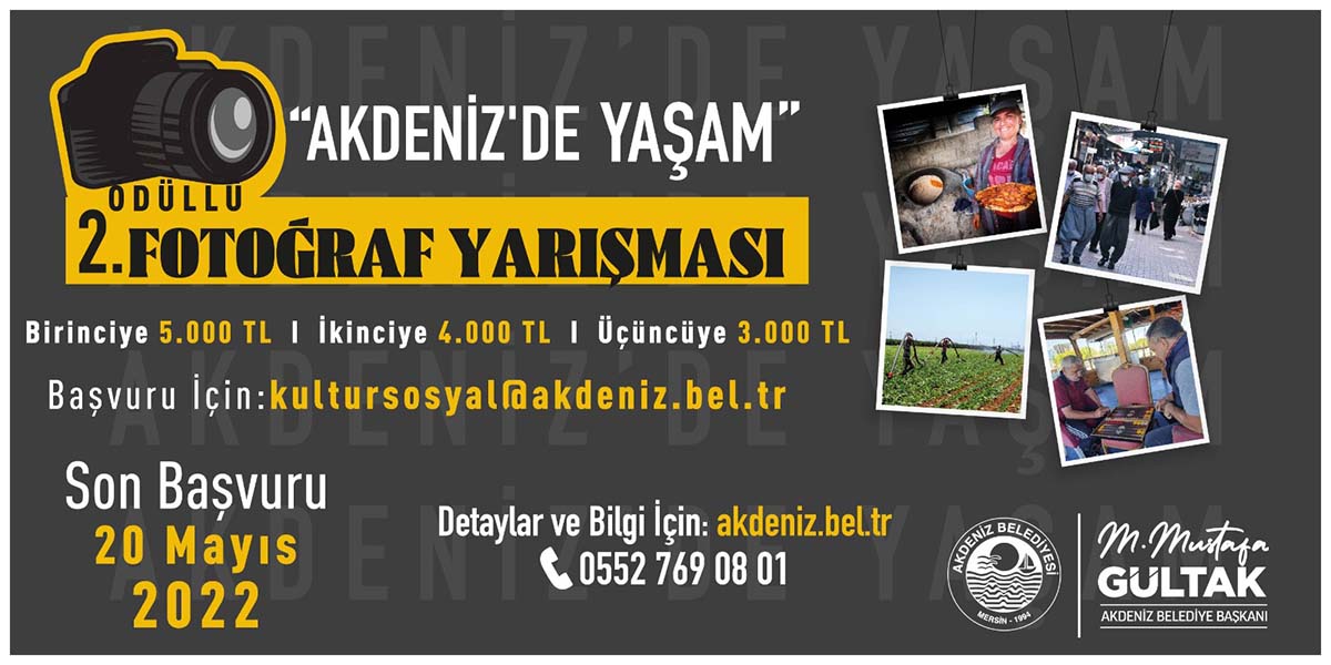 Sayfa-31